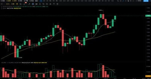 1000小看看免费行情的软件浏览：2024年热门金融工具所推荐与使用指南